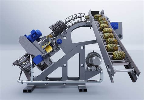 pineapple processing machinery